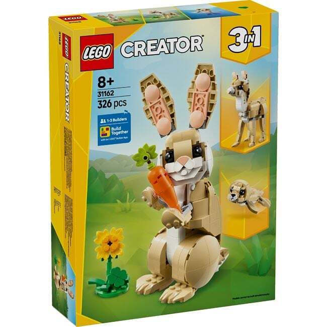 31162 Cute Bunny 