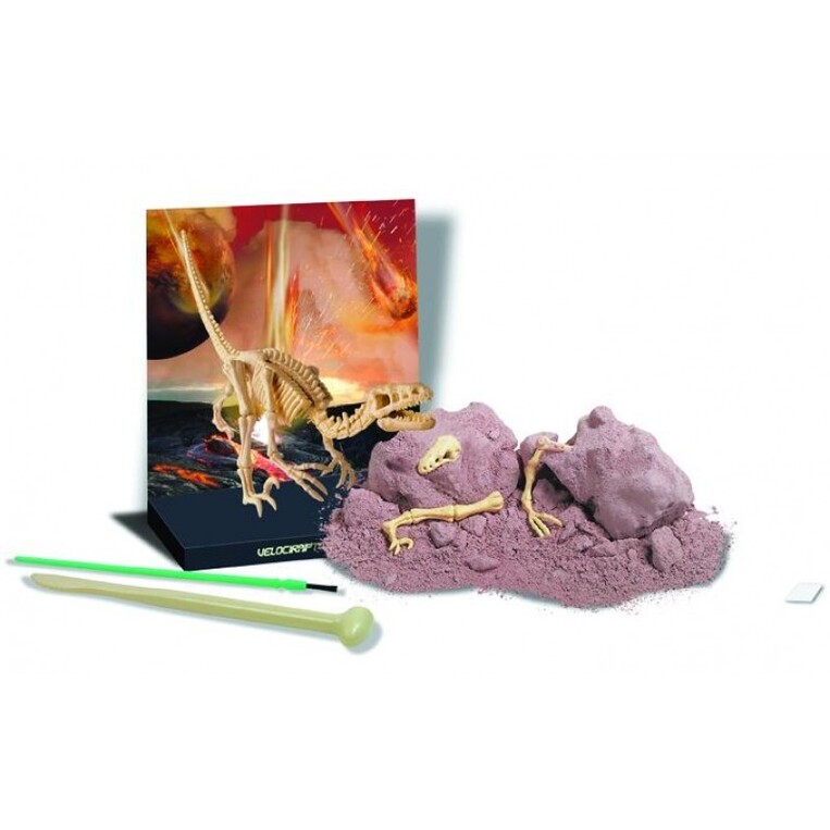 Ανασκαφή Δεινοσαύρων - Βελοσιράπτορας  - 4M0023