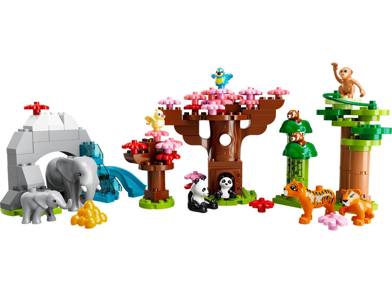 Wild Animals Of Asia 