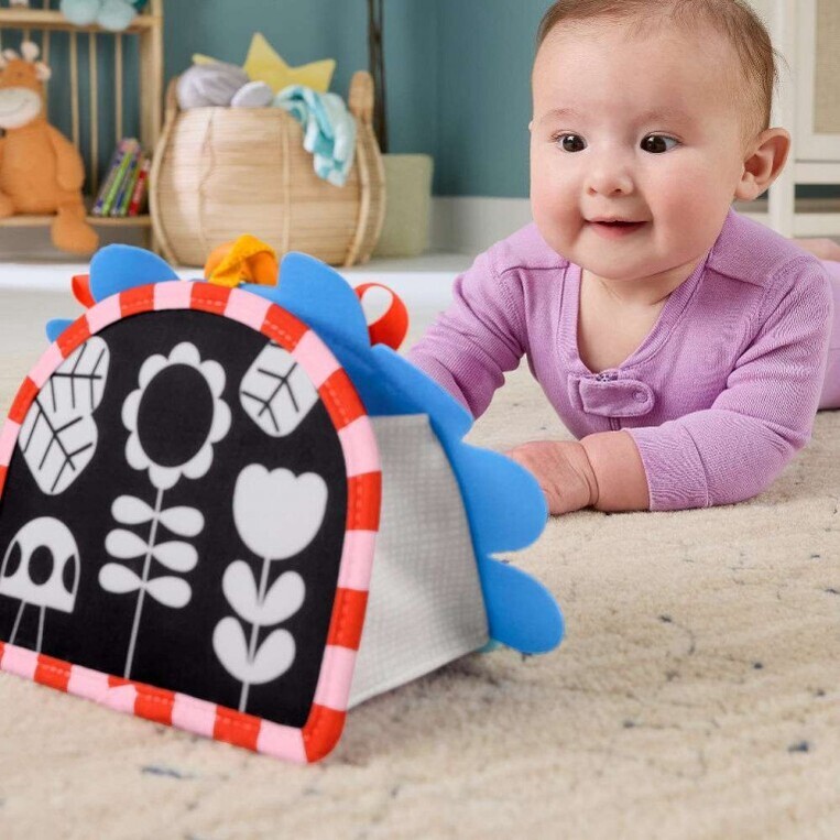 Fisher-Price Καθρεφτάκι Σκαντζοχοιράκι - JHB45