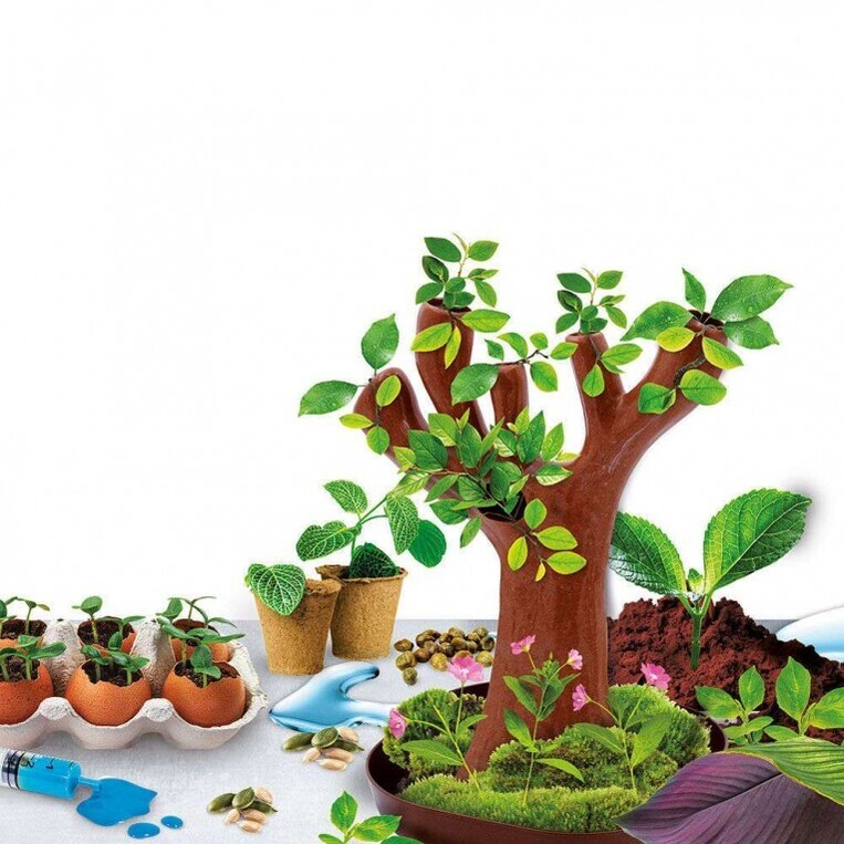 Μικροί Επιστήμονες Εργαστήριο Βοτανικής - GR97364