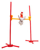 Επιτραπέζιο Kόκο Λίμπο Πάρτυ - GPG13000