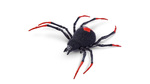 Robo Alive Creepy Crawlies Ρομποτική Αράχνη - 11807151