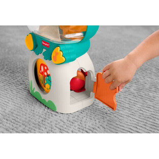 Fisher-Price Light-Up & Roll Μουσικός Βάτραχος Δραστηριοτήτων με Ήχους και Φώτα - JLB96