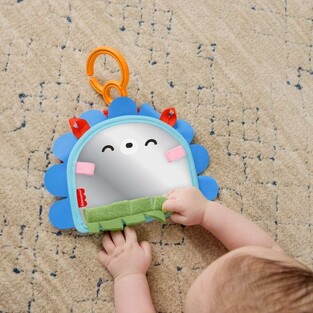 Fisher-Price Καθρεφτάκι Σκαντζοχοιράκι - JHB45