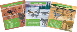 Brainbox Θηρευτές - 93053