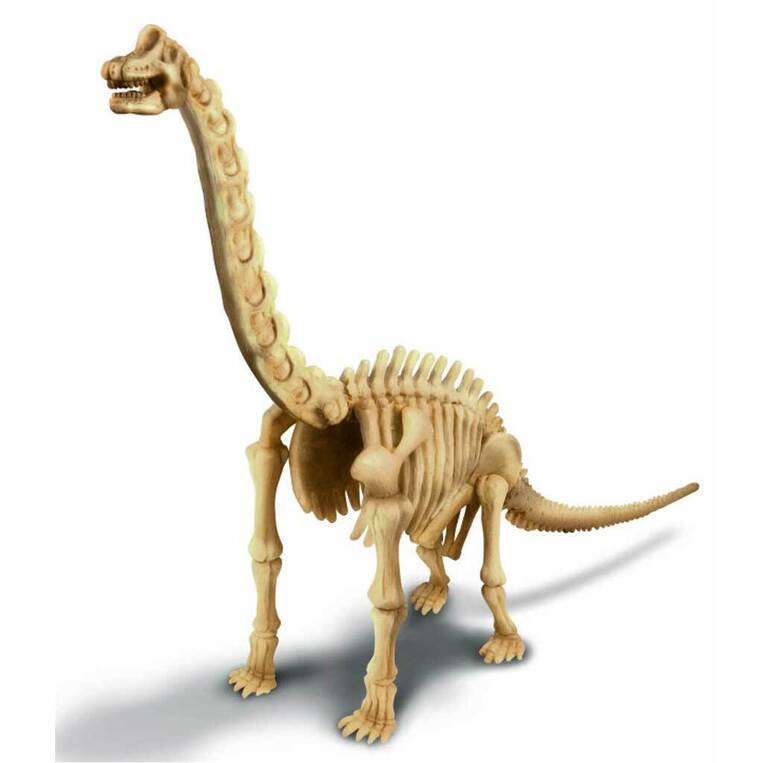 Δεινόσαυρος Ανασκαφή Βραχιόσαυρου - 4M0008