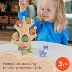 Fisher Price Wooden Balance Tree Ξύλινο Δέντρο Ισορροπίας - HXT87