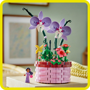 Isabela's Flowerpot 