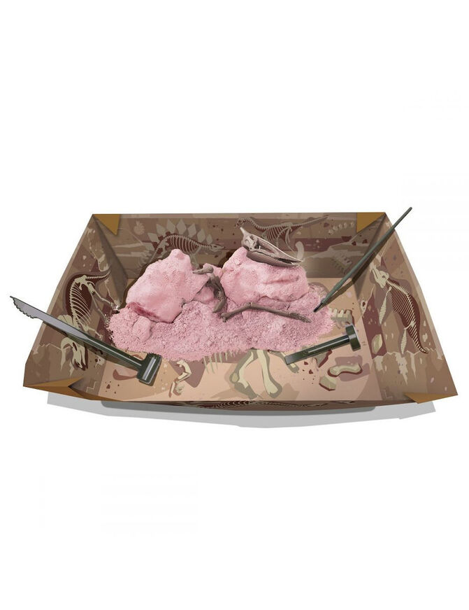 4Μ Ανασκαφή Πτερανόδοντας - 4Μ0607