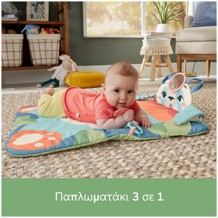 Fisher-Price Γυμναστήριο Και Στρώμα Παιχνιδιού Πάντα 3 Σε 1 - HKD65