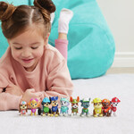 Paw Patrol: All Paws Gift Set - 6065255