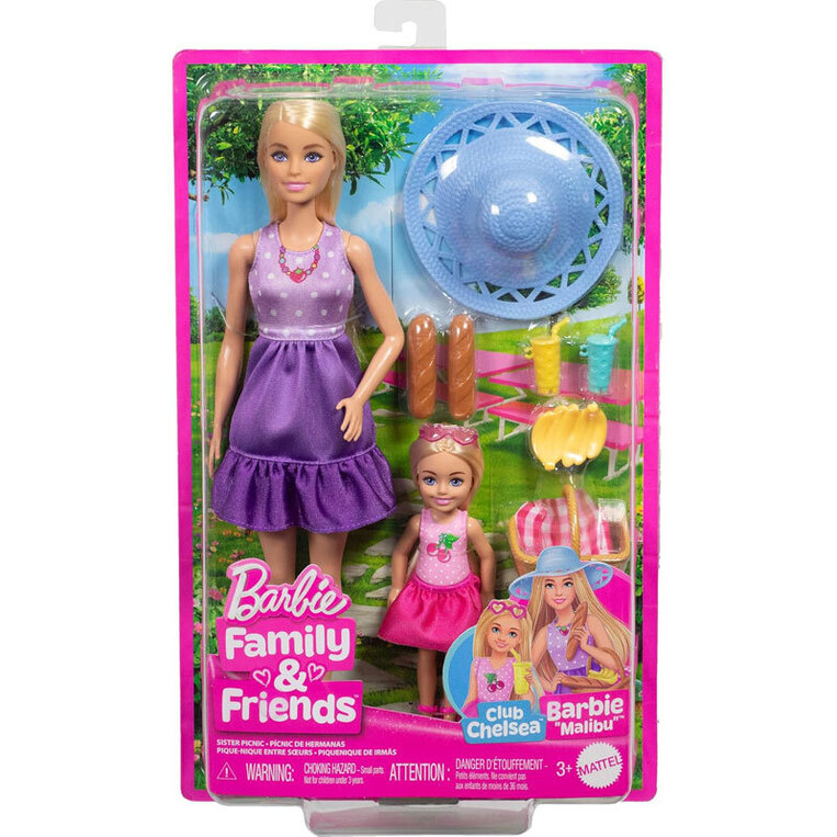 Barbie Family & Friends Κούκλες Barbie & Chelsea Πικ Νικ - JBF43