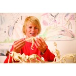 Ανασκαφή Δεινοσαύρων - Βελοσιράπτορας  - 4M0023