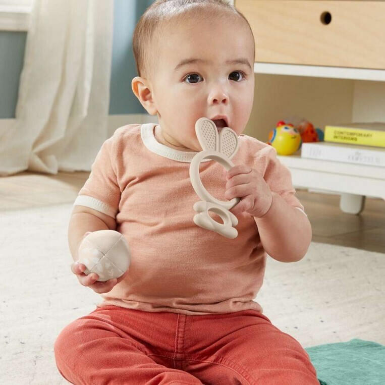 Fisher Price Sensimals Σετ Δώρου - HRB17