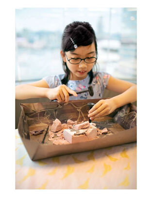 4Μ Ανασκαφή Πτερανόδοντας - 4Μ0607