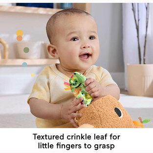 Fisher-Price Μαλακό Καπιμπάρα Δραστηριοτήτων - HYR54