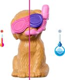 Barbie Πάρτι Στην Πισίνα Με Κουταβάκια Και Κούκλα - JBF35